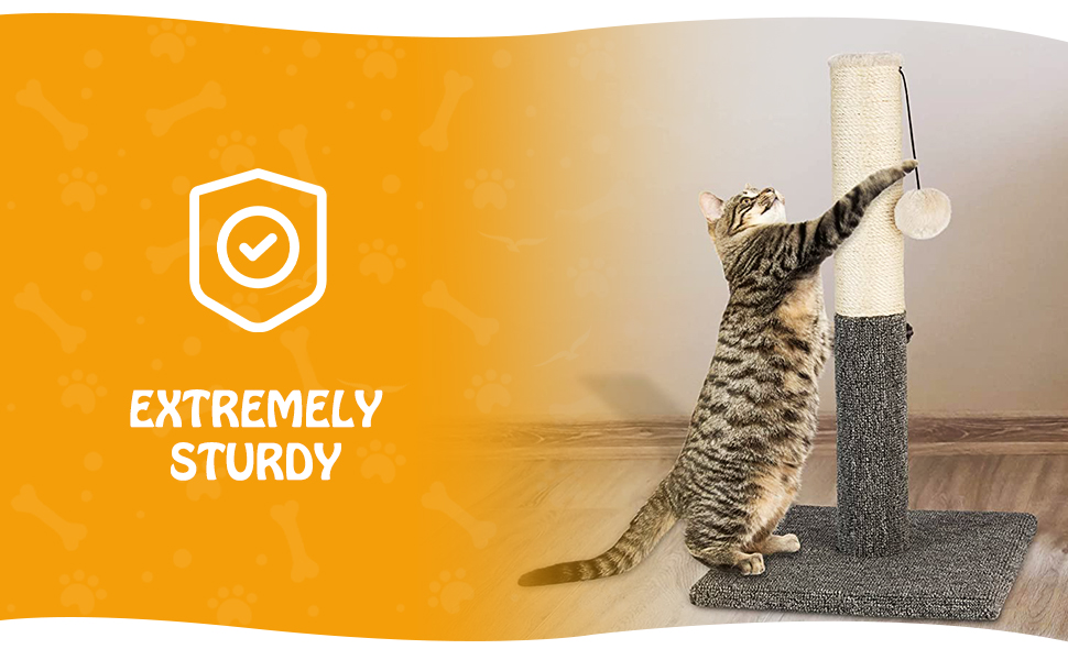 PAWBEE 20" Tall Cat Scratching Post for Indoor Cats