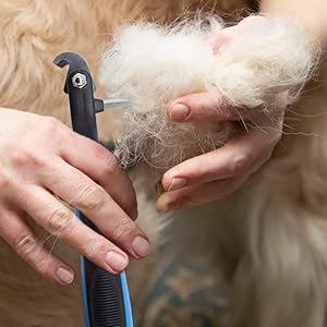 dog cat brush