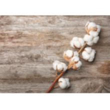 Cotton