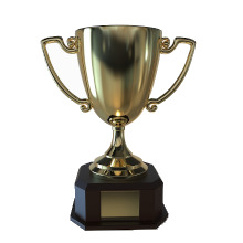 sema award, all-fit rim trim,