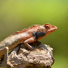 Small manufacture image 7