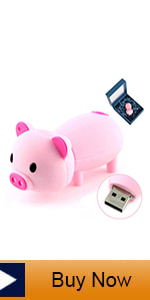 memory stick 2gb