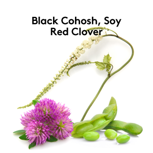 Black Cohosh, Red Clover phytoestrogen