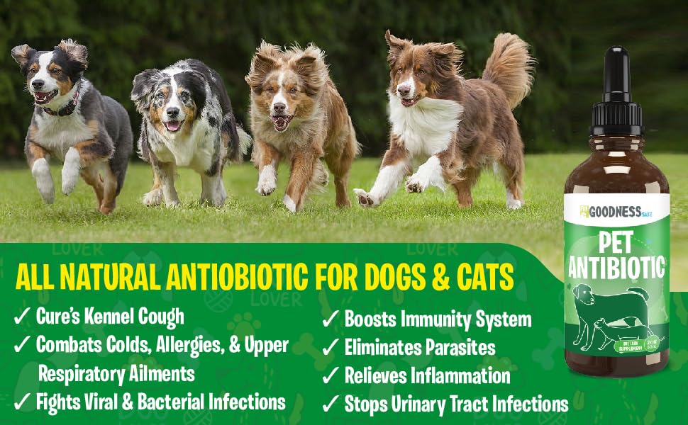 Fur Goodness Sake Natural Antibiotic Alternative for Dogs