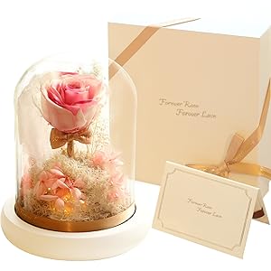 rose beauty and the beast rose forever rose glass rose rose flower preserved rose roses eternal rose