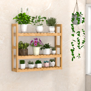 plant shelf