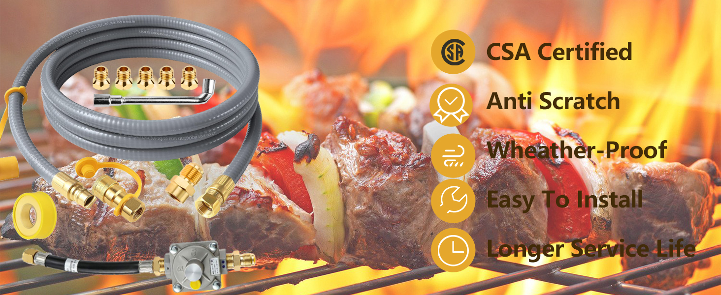 Upgraded Propane to Natural Gas Conversion Kit for er