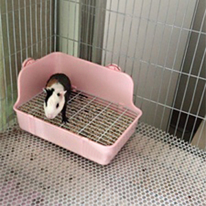 Small manufacture image 7