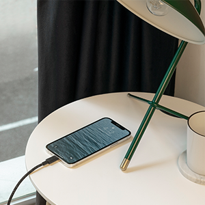 Native Union Type C Lightning Extra largo 10 pies de fuerza Cinturón de cuero fuerte Carga rápida