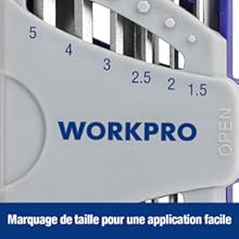 WORKPRO Jeu De 18 Clés Allen Hexagonales En Cr-V Avec Tête Plate, Torx, Sphérique, Clés Males Avec Etui Portative Pour Réparation Et Assemblage De Vélo, Moto, Voiture, Electroménager 16 5