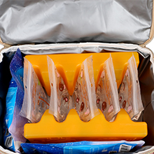 Breast pump bag spectra