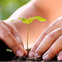 natürlich Bleistift Buntstifte Holz malen schreiben Schule Kinder Erwachsene