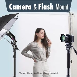 Flash Mount