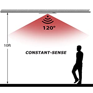 motion sensor