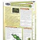 Cannabinoids and Terpenes Quick Reference Guide