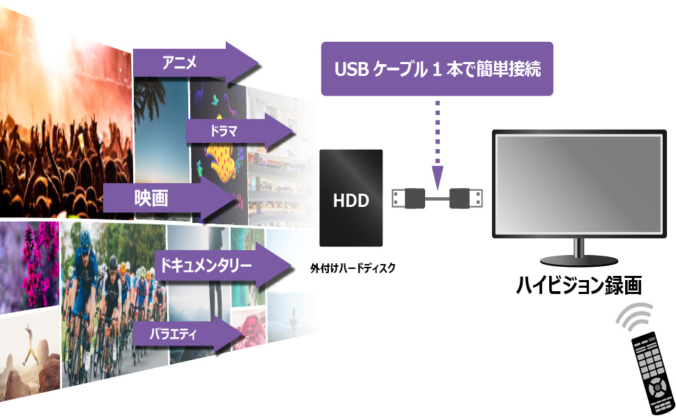 Amazon Fff 外付けハードディスク パソコン用 ポータブル テレビ 2tb Mal22000ex3 Mk Marshal 外付ハードディスクドライブ 通販