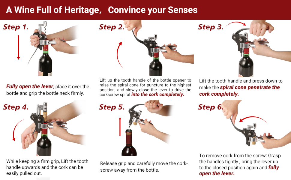 Wine Bottle Opener Corkscrew Set[2020 Upgraded] Holleringlan Wine