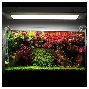 Amazon.co.jp: ONF Flat One+ 吊り下げ 水槽ライト アクアリウム
