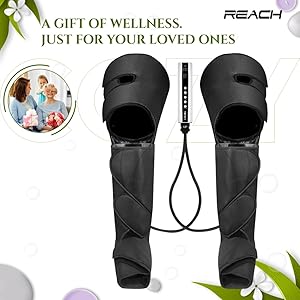 Reach Cozy Massager