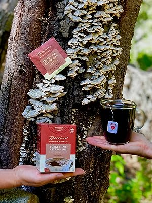 teeccino turkey tail astragalus