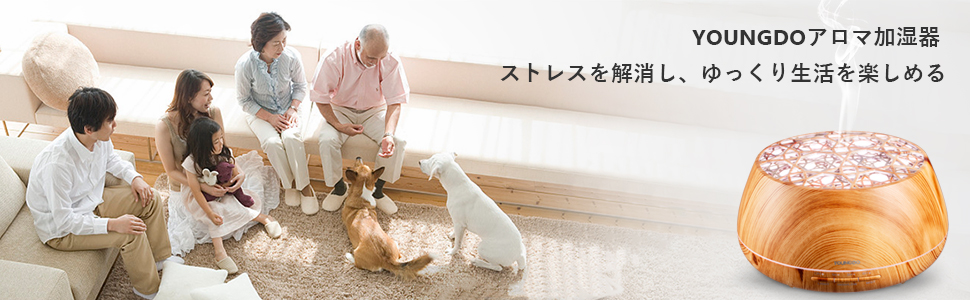 YOUNGDO アロマ加湿器