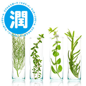 Magreet Cream (body care massage cream containing MSM) contains chondroitin and hyaluronic acid, which have moisturizing effects on the skin.