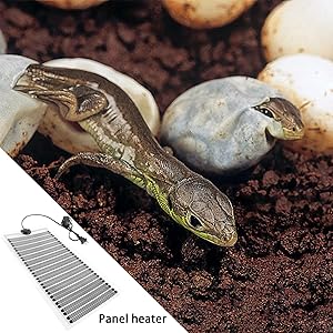 爬虫類・両生類用 ソーラーパネルと加熱プレートセット 楽天市場】【ふるさと納税】ソーラーパネル 携帯充電用太陽電池