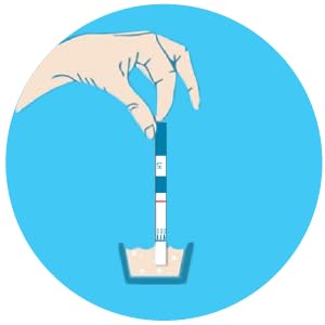 test strips predictor kit clinical guard clinicalguard ovulating testing ovulation tests pregnancy