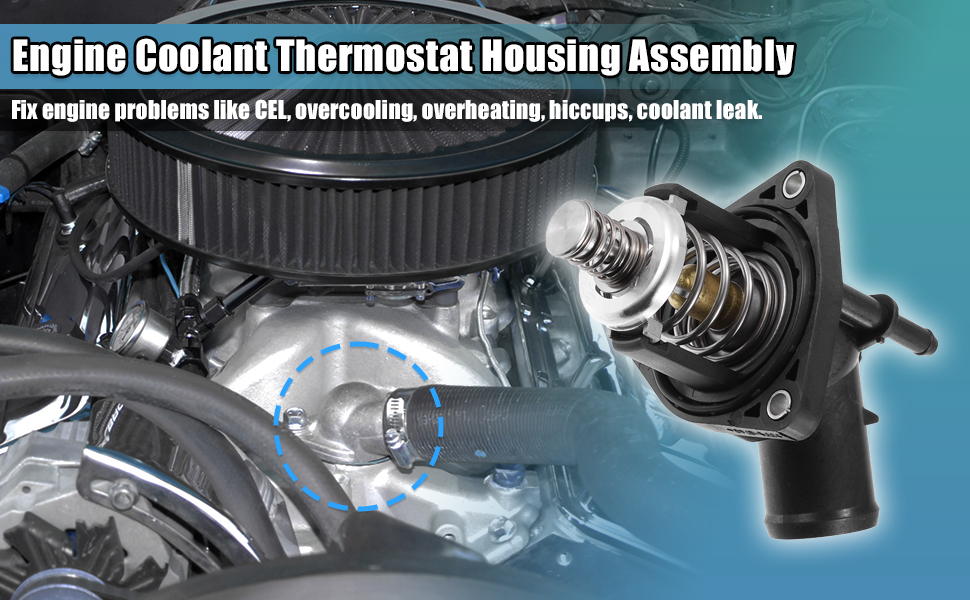 Standard Image Header With Text