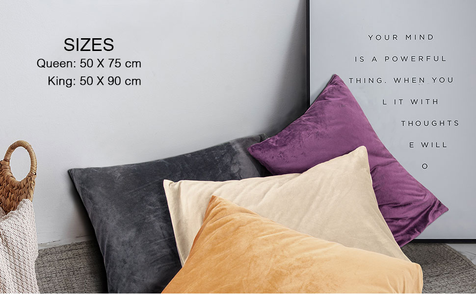 NTBAY 2 Pack Zippered Velvet Standard Pillowcases, Super Soft and Cozy