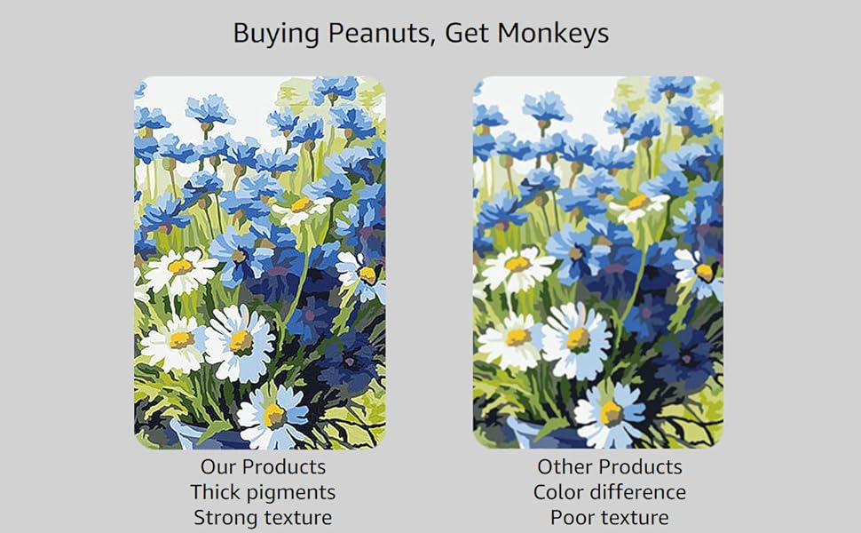 Paint Numbers, Framed Paint by Numbers for Adults Beginner