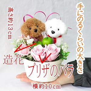 トイプードル　アレンジメント 茶かご