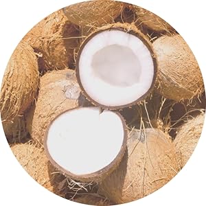 coco
