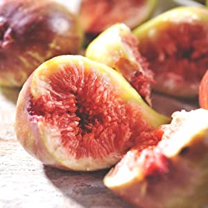 Small manufacture image 12