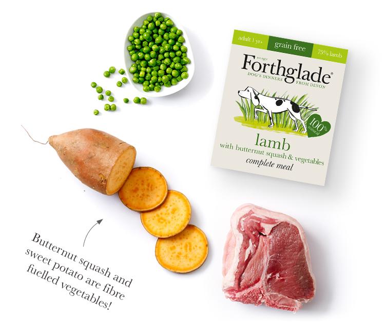 Forthglade 100 Natural Dog Food Complete Wet Dog Food Chicken, Rice