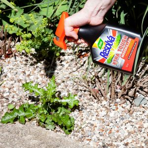 Small manufacture image 2