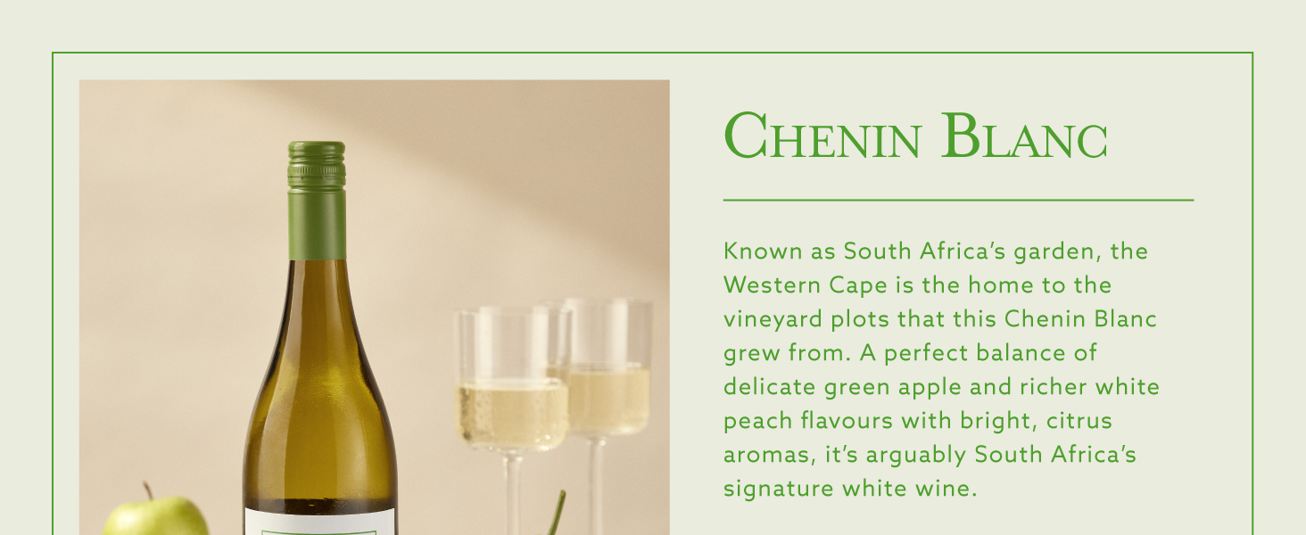 South African Chenin Blanc, White Wine, 75cl, Case of 6 : Amazon.co.uk ...