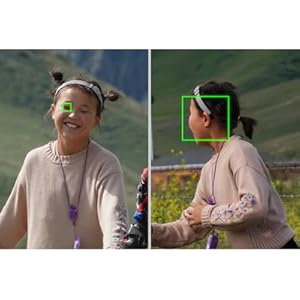 Sony Alpha A6600 Mirrorless Camera | Black | ILCE-6600