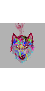 題名　一匹狼 Midnight Silver Wolf] The topic revived! [Drift Spirits x