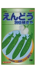 水菜 サラダ京水菜 | 花＆グリーン 通販 | ホームセンターのカインズ