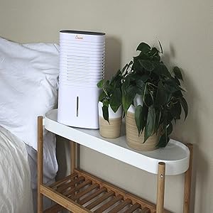  Crane  1.25-Pint 2-Speed Dehumidifier