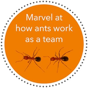 Small manufacture image 2