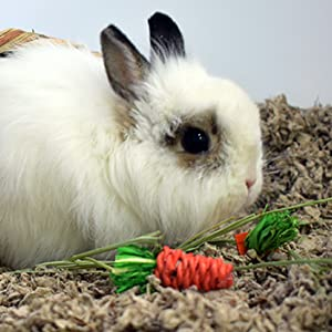 Small manufacture image 1