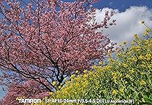 風景写真にオススメの広角レンズ☆タムロン 10-24mm B001 キヤノン用♡ Amazon.co.jp: TAMRON 超広角ズームレンズ SP AF10-24mm F3.5