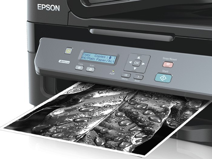 Amazon.in Buy Epson M205 AllinOne Wireless Ink Tank Black and White