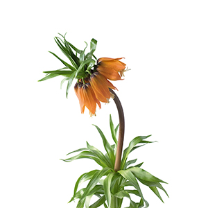 Small manufacture image 9