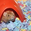 Small manufacture image 15