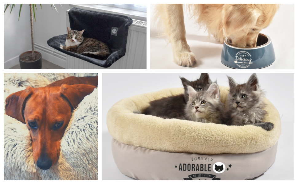 griffoir jouet chat black friday