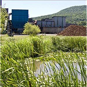 Small manufacture image 4