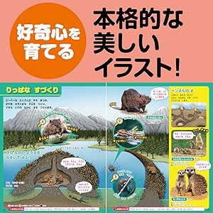 はじめてのずかん どうぶつ (講談社の動く図鑑MOVE) | 瀧 靖之